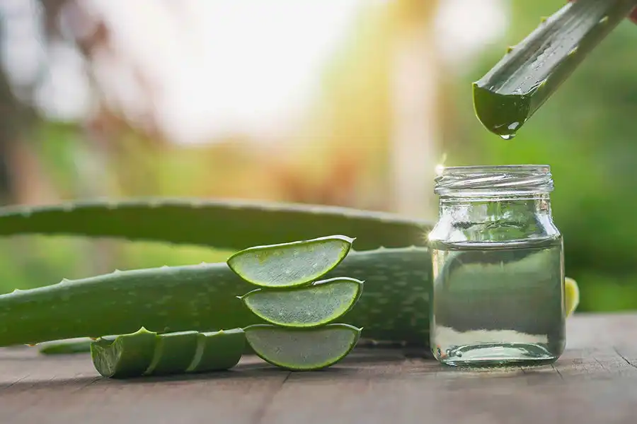 What is Aloe Vera Powder?